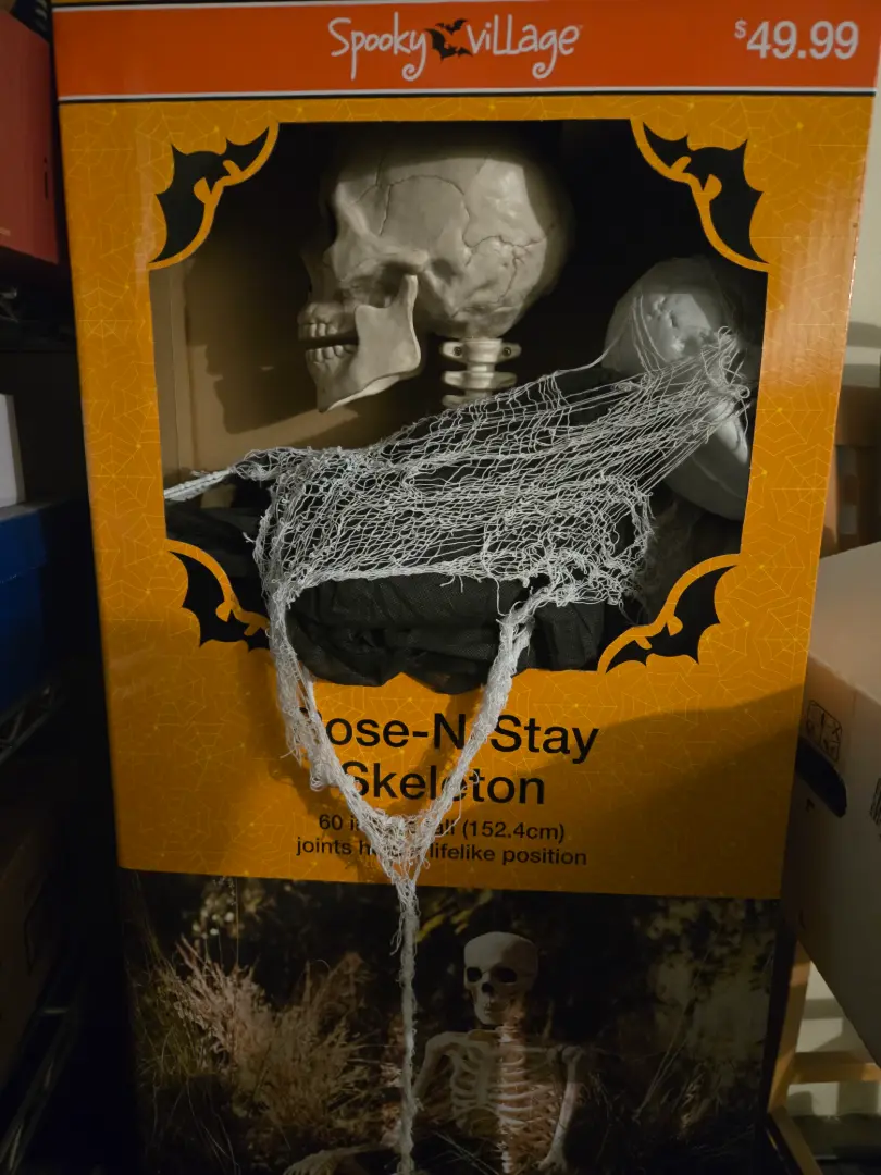 Skeleton for Halloween